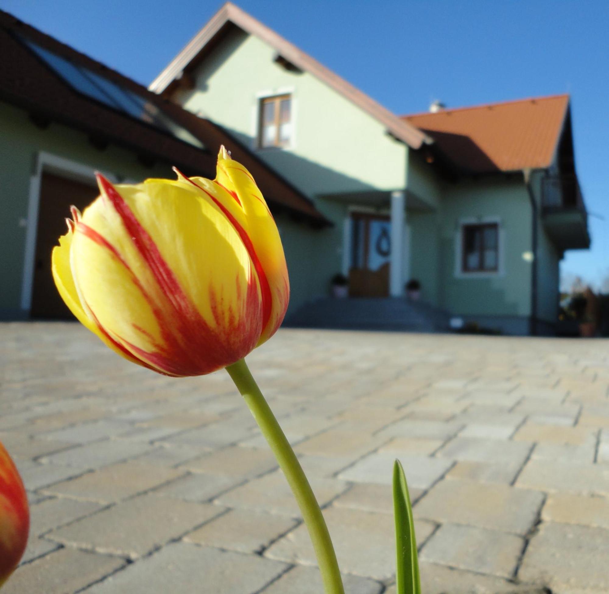 Gaestezimmer Rieder Staatz Exterior photo